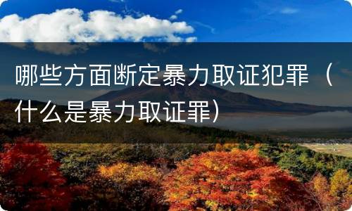 哪些方面断定暴力取证犯罪（什么是暴力取证罪）