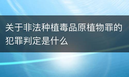 关于非法种植毒品原植物罪的犯罪判定是什么