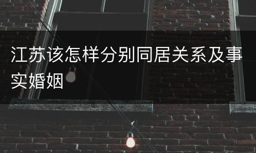 江苏该怎样分别同居关系及事实婚姻