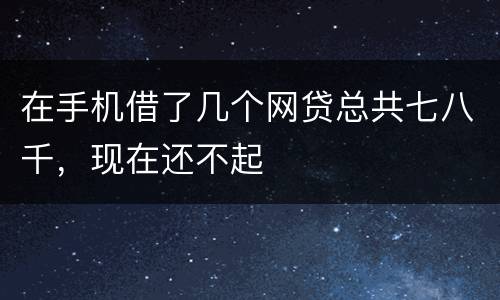 在手机借了几个网贷总共七八千，现在还不起