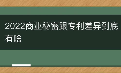 2022商业秘密跟专利差异到底有啥