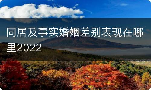 同居及事实婚姻差别表现在哪里2022