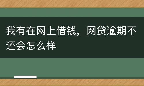 我有在网上借钱，网贷逾期不还会怎么样