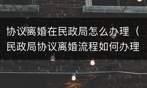 协议离婚在民政局怎么办理（民政局协议离婚流程如何办理手续）