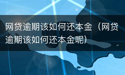 网贷逾期该如何还本金（网贷逾期该如何还本金呢）