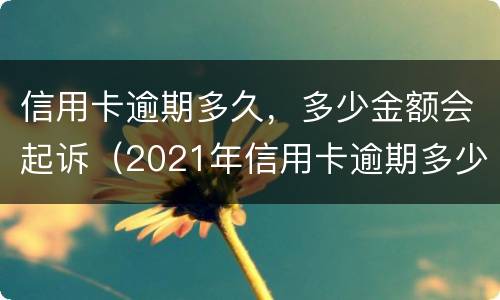 信用卡逾期多久，多少金额会起诉（2021年信用卡逾期多少钱）