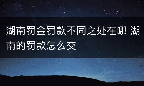 湖南罚金罚款不同之处在哪 湖南的罚款怎么交