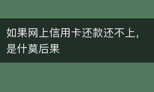 如果网上信用卡还款还不上，是什莫后果