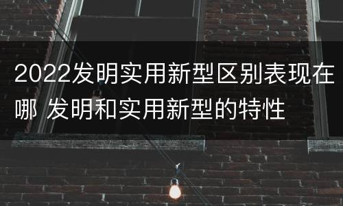 2022发明实用新型区别表现在哪 发明和实用新型的特性