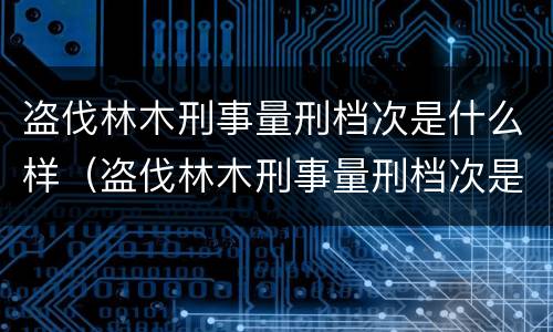 盗伐林木刑事量刑档次是什么样（盗伐林木刑事量刑档次是什么样的）