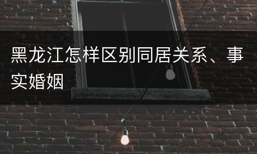 黑龙江怎样区别同居关系、事实婚姻