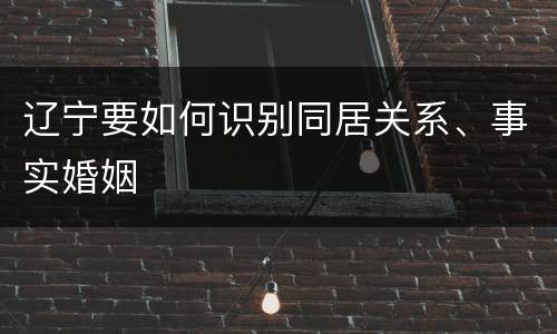 辽宁要如何识别同居关系、事实婚姻