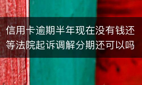 信用卡逾期半年现在没有钱还等法院起诉调解分期还可以吗