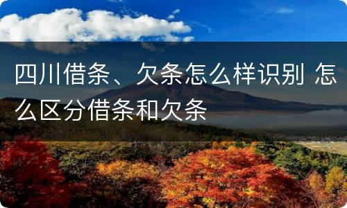 四川借条、欠条怎么样识别 怎么区分借条和欠条