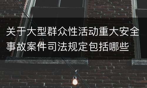 关于大型群众性活动重大安全事故案件司法规定包括哪些