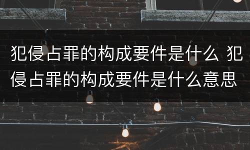 犯侵占罪的构成要件是什么 犯侵占罪的构成要件是什么意思