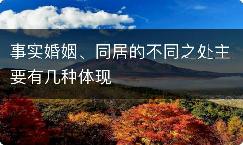 事实婚姻、同居的不同之处主要有几种体现