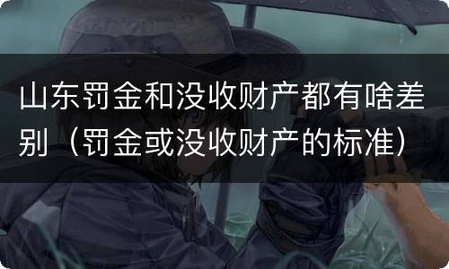 山东罚金和没收财产都有啥差别（罚金或没收财产的标准）