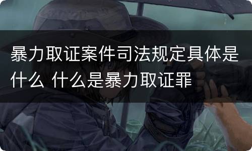 暴力取证案件司法规定具体是什么 什么是暴力取证罪