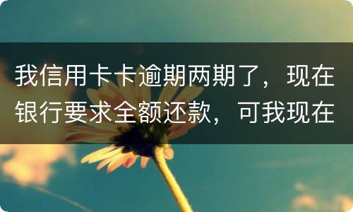 我信用卡卡逾期两期了，现在银行要求全额还款，可我现在没有还款能力以后会有什么后果