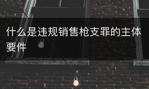 什么是违规销售枪支罪的主体要件