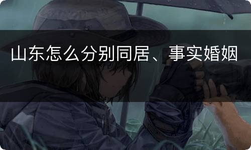 山东怎么分别同居、事实婚姻