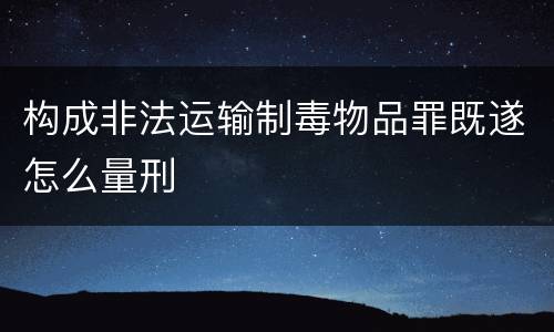 构成非法运输制毒物品罪既遂怎么量刑