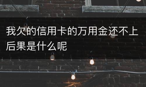 我欠的信用卡的万用金还不上后果是什么呢