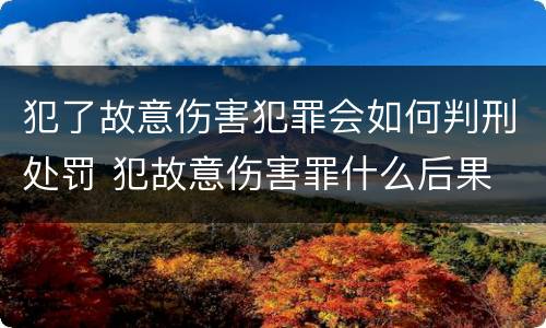 犯了故意伤害犯罪会如何判刑处罚 犯故意伤害罪什么后果