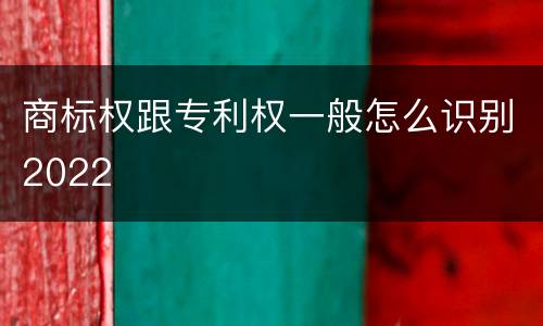 商标权跟专利权一般怎么识别2022