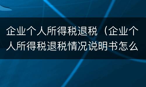 企业个人所得税退税（企业个人所得税退税情况说明书怎么写）