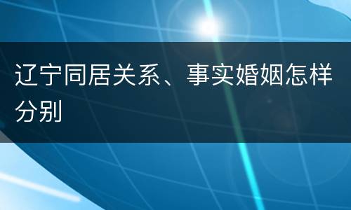 辽宁同居关系、事实婚姻怎样分别