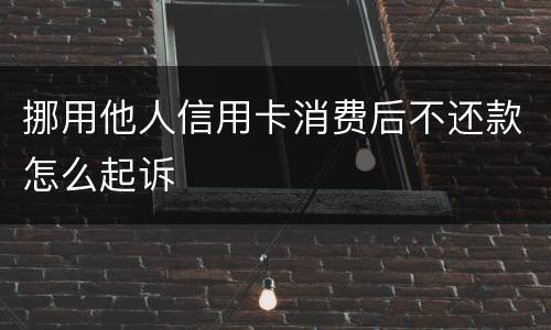 挪用他人信用卡消费后不还款怎么起诉