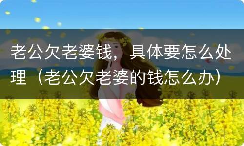 老公欠老婆钱，具体要怎么处理（老公欠老婆的钱怎么办）