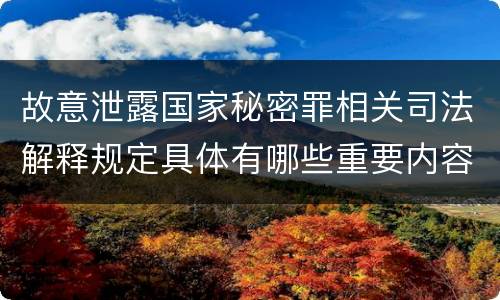 故意泄露国家秘密罪相关司法解释规定具体有哪些重要内容