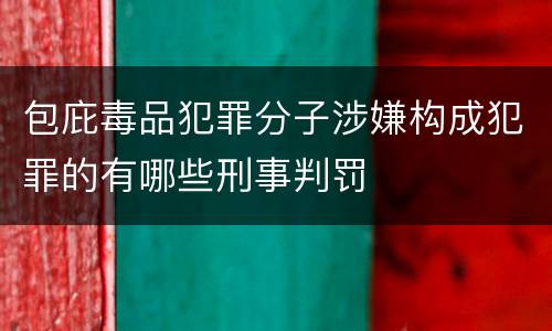 包庇毒品犯罪分子涉嫌构成犯罪的有哪些刑事判罚