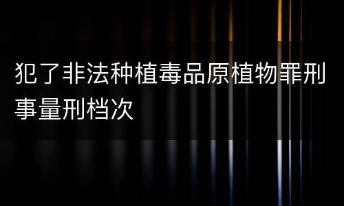 犯了非法种植毒品原植物罪刑事量刑档次