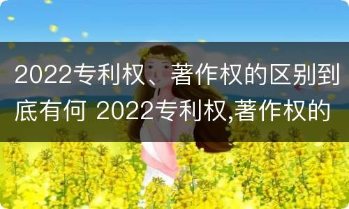 2022专利权、著作权的区别到底有何 2022专利权,著作权的区别到底有何不同