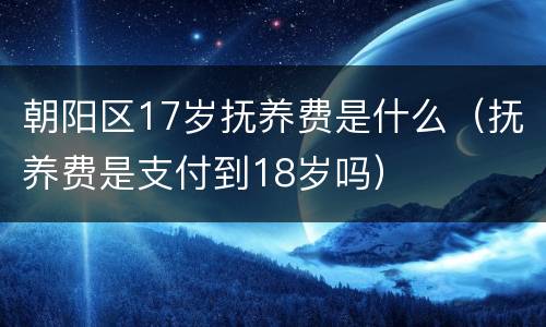 朝阳区17岁抚养费是什么（抚养费是支付到18岁吗）