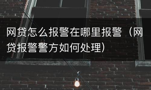 网贷怎么报警在哪里报警（网贷报警警方如何处理）