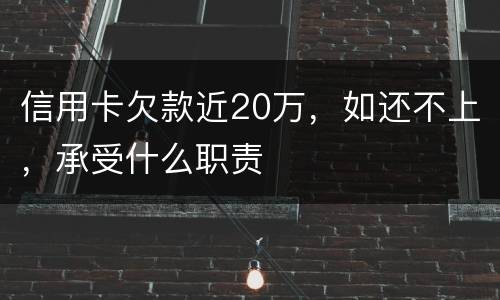 信用卡欠款近20万，如还不上，承受什么职责