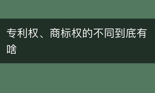 专利权、商标权的不同到底有啥