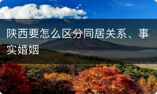 陕西要怎么区分同居关系、事实婚姻