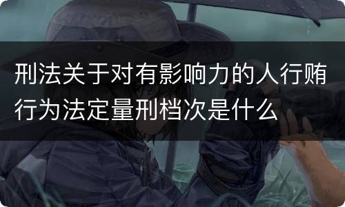 刑法关于对有影响力的人行贿行为法定量刑档次是什么