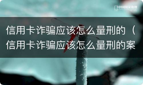 信用卡诈骗应该怎么量刑的（信用卡诈骗应该怎么量刑的案例）