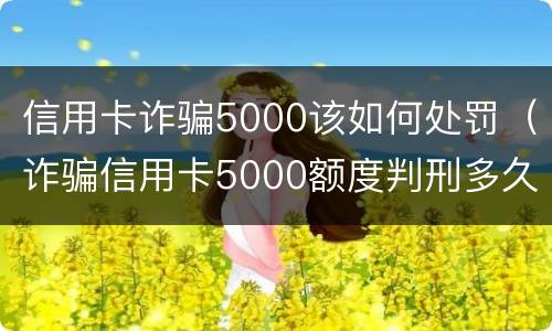 信用卡诈骗5000该如何处罚（诈骗信用卡5000额度判刑多久?）