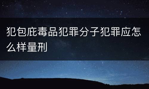 犯包庇毒品犯罪分子犯罪应怎么样量刑