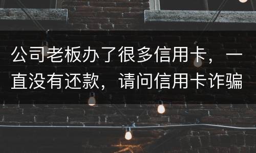 公司老板办了很多信用卡，一直没有还款，请问信用卡诈骗罪定罪量刑标准