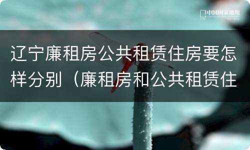 辽宁廉租房公共租赁住房要怎样分别（廉租房和公共租赁住房）