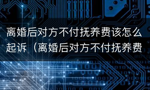 离婚后对方不付抚养费该怎么起诉（离婚后对方不付抚养费该怎么起诉呢）